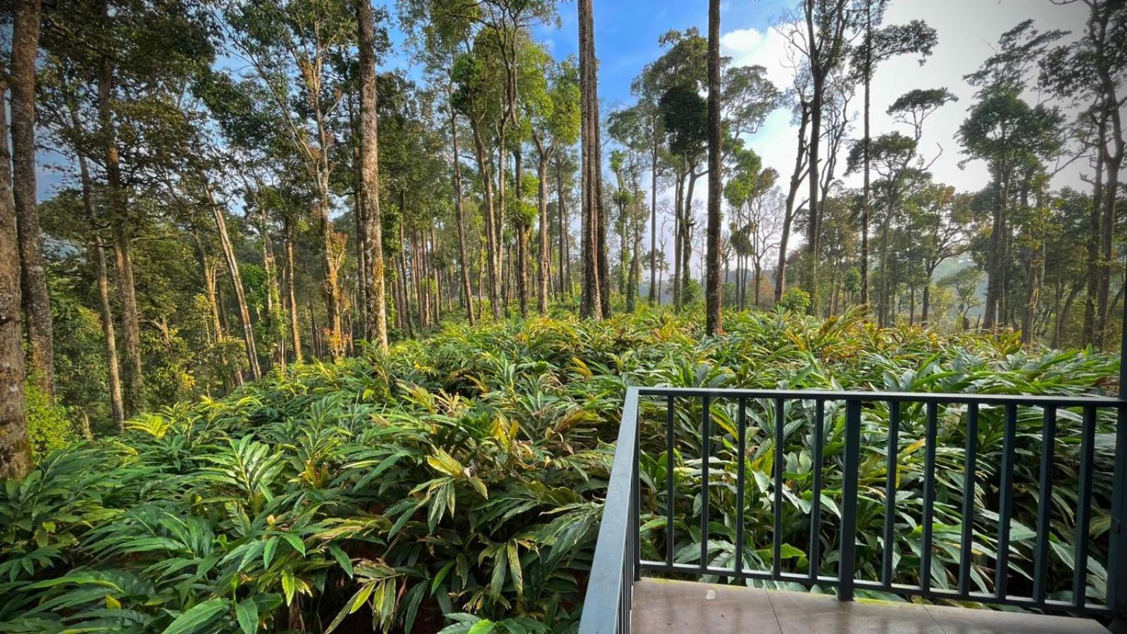 Forestscape Resort Муннар Екстер'єр фото