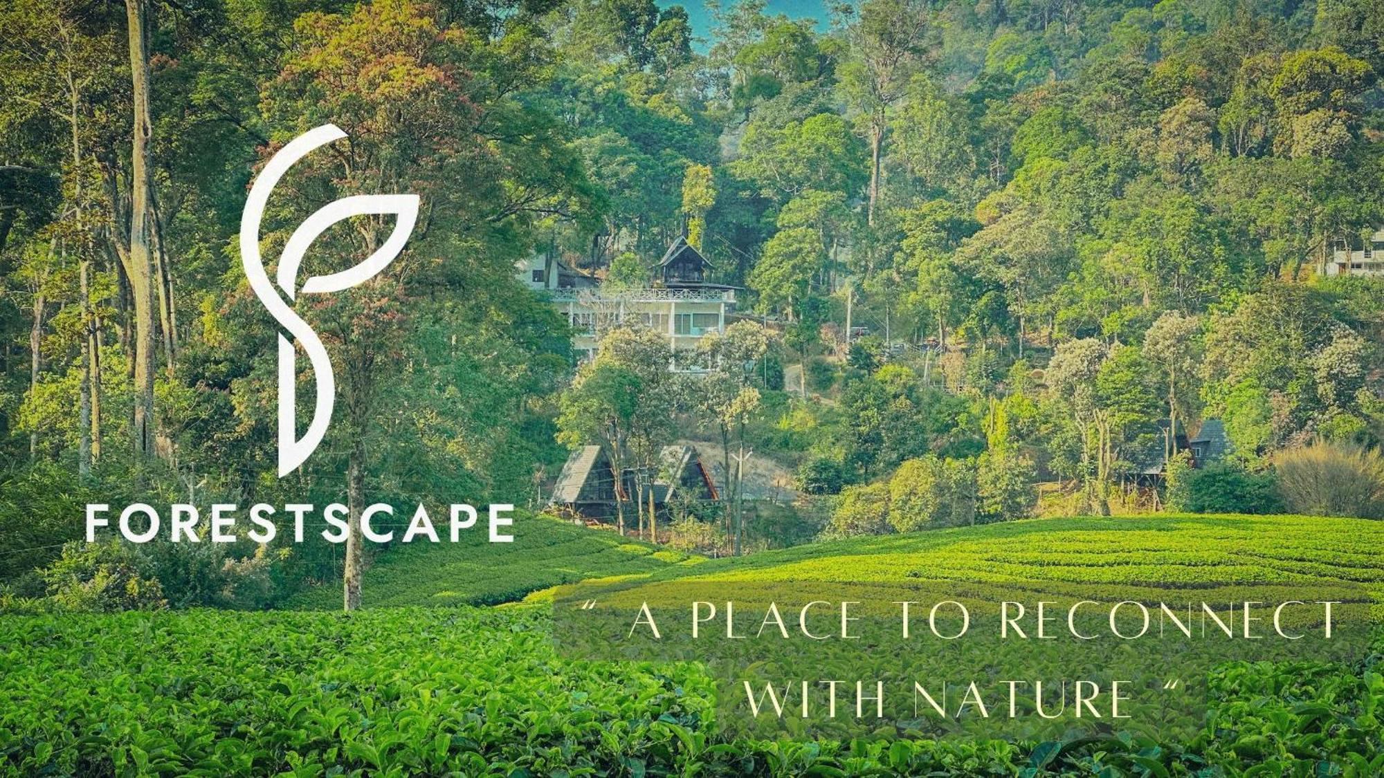 Forestscape Resort Муннар Екстер'єр фото